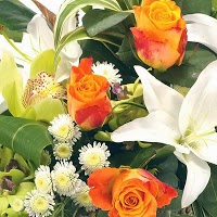 Four Seasons Florist 1097908 Image 8